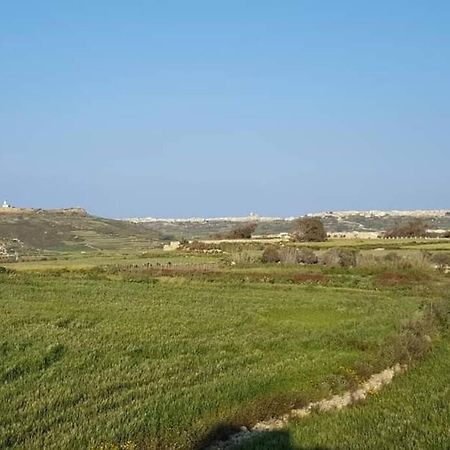 Farmhouse Villa With Large Pool And Garden In Gozo ガルブ エクステリア 写真