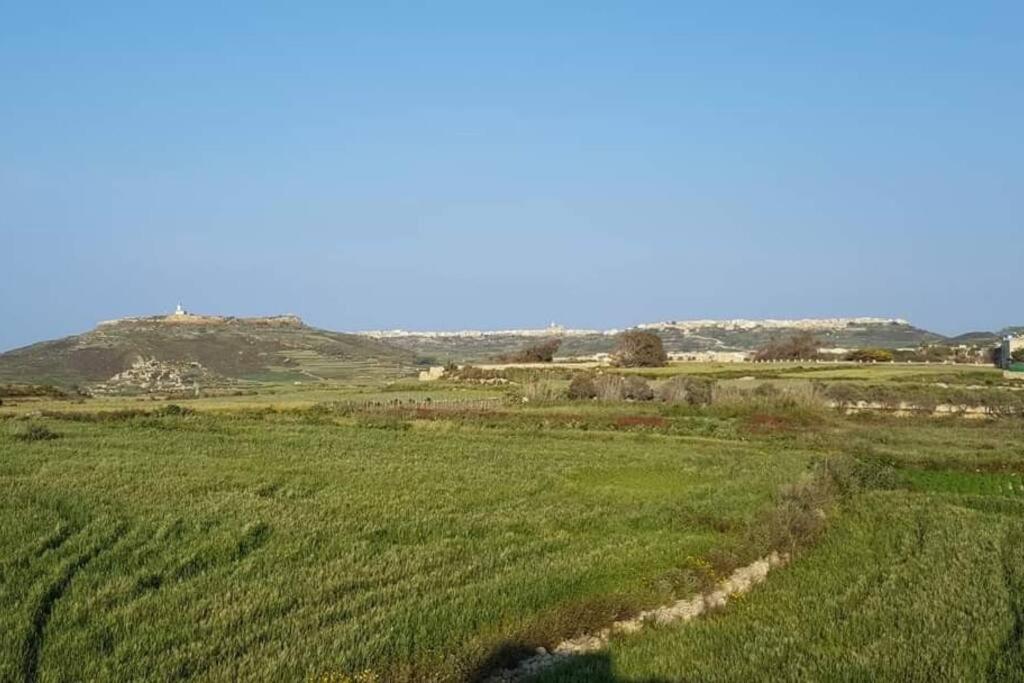 Farmhouse Villa With Large Pool And Garden In Gozo ガルブ エクステリア 写真